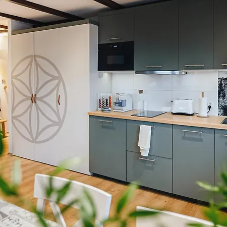 Kameralny Apartament Chateau Karpielówka Kościelisko z widokiem i wlasnym garażem Kościelisko