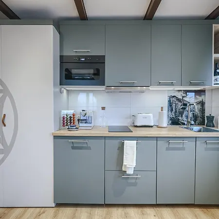 Kameralny Apartament Chateau Karpielówka Kościelisko z widokiem i wlasnym garażem Kościelisko